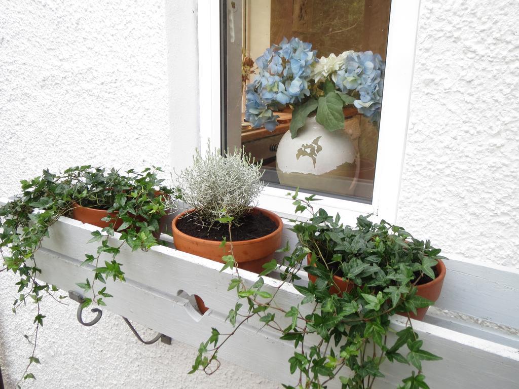 Elmbank Garden Apartment Oban Rum bild