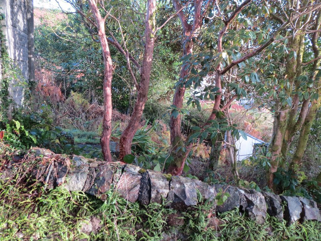 Elmbank Garden Apartment Oban Rum bild